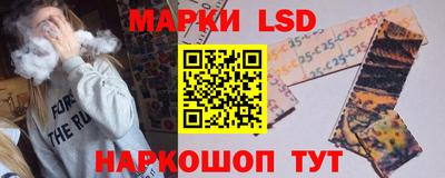 стафф Кандалакша