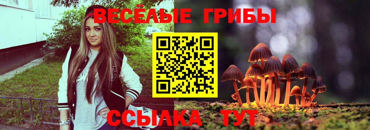 Галлюциногенные грибы мухоморы Алапаевск