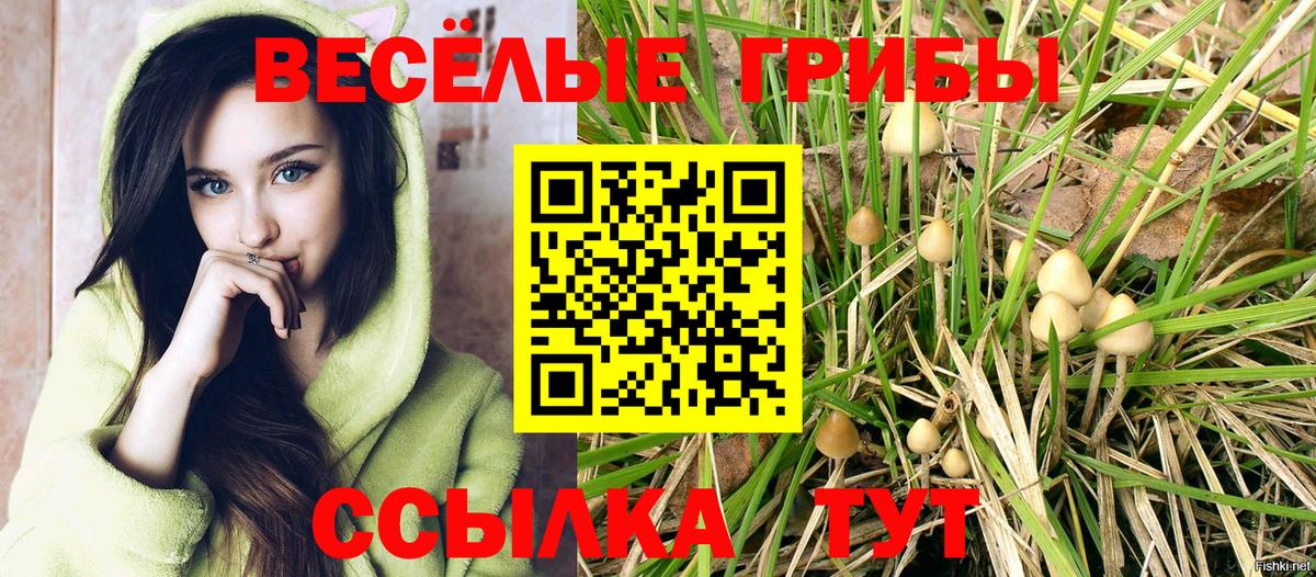 Галлюциногенные грибы MAGIC MUSHROOMS  Галлюциногенные грибы MAGIC MUSHROOMS  Алапаевск  Вход с VPN 