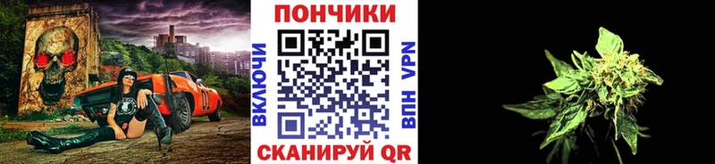 наркотики  Алапаевск  Шишки марихуана Amnesia 